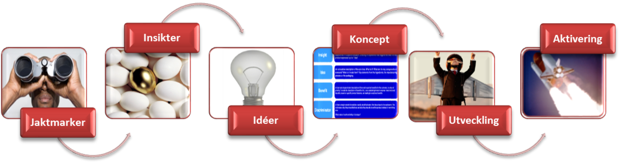Affärsinsikt innovationsprogram